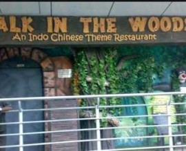 Walk In The Woods-cityclassified.co.in